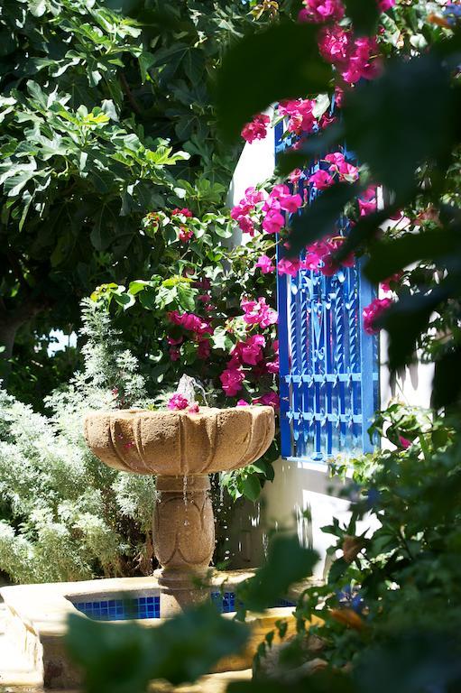 La Vista De Medina Studios & Apartments Dış mekan fotoğraf