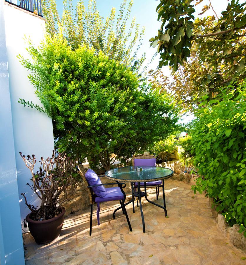 La Vista De Medina Studios & Apartments Dış mekan fotoğraf